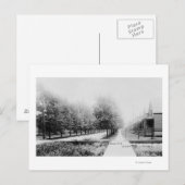 Western Uitzicht Parnell Avenue Briefkaart (Voorkant / Achterkant)