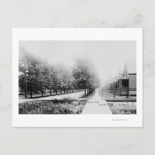 Western Uitzicht Parnell Avenue Briefkaart (Voorkant)