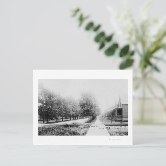 Western Uitzicht Parnell Avenue Briefkaart (Staand voorkant)