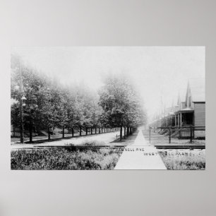 Western Uitzicht Parnell Avenue Poster