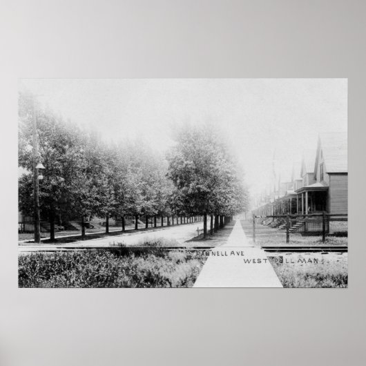 Western Uitzicht Parnell Avenue Poster (Voorkant)