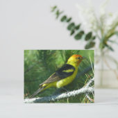 Western uitzicht van de vogelbuurt in Tanager Briefkaart (Staand voorkant)