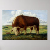 Western  vee Schilderen Poster (Voorkant)