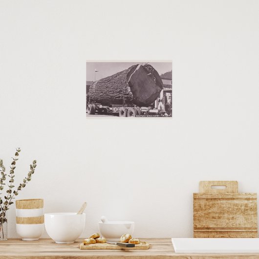 Western Washington Fir Log circa 1940 Poster (Keuken)