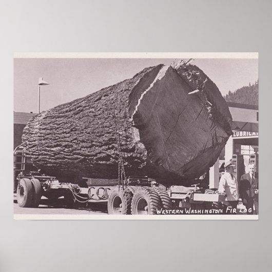 Western Washington Fir Log circa 1940 Poster (Voorkant)