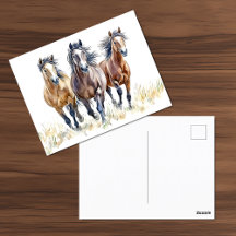 Western Wild & Free Mustang Horses Briefkaart