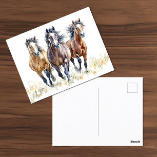 Western Wild & Free Mustang Horses Briefkaart