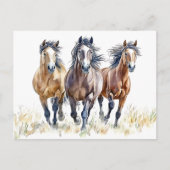 Western Wild & Free Mustang Horses Briefkaart (Voorkant)