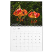 Western Wildflowers 2026 Calendar Kalender (Mar 2027)