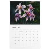 Western Wildflowers 2026 Calendar Kalender (Feb 2027)