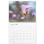 Western Wildflowers 2026 Calendar Kalender (Jan 2027)