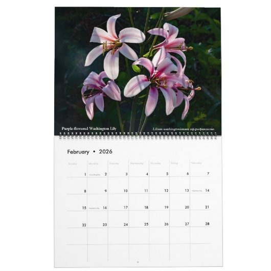 Western Wildflowers 2026 Calendar Kalender (Feb 2026)