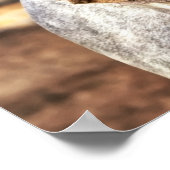 Western zadels op grijze paarden poster (Hoek)