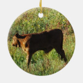 Westerne Baby- en kabeljauwrunderen, tweezijdig Keramisch Ornament (Achterkant)