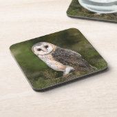 Westerne Barn Owl Beverage Coaster - Schilderen Bier Onderzetter (Linkerzijde)