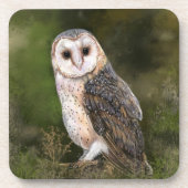Westerne Barn Owl Beverage Coaster - Schilderen Bier Onderzetter (Voorkant)