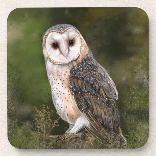 Westerne Barn Owl Beverage Coaster - Schilderen Bier Onderzetter (Voorkant)