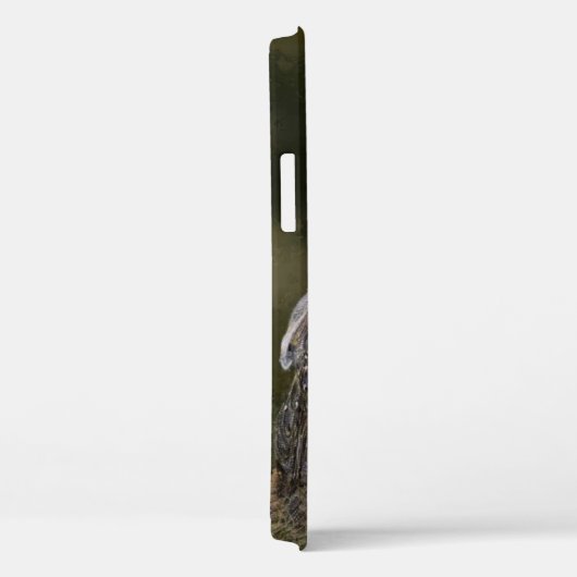 Westerne Barn Owl Case-Mate iPhone Case (Achterkant / Rechts)