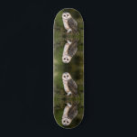 Westerne Barn Owl - Gegigreerde Waterverf schilder Persoonlijk Skateboard<br><div class="desc">Westerne Barn Owl - Migned Waterverf Painting Art Beauful Forest Bird</div>