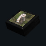 Westerne Barn Owl Gift Box Cadeaudoosje<br><div class="desc">Western Barn Owl - Migned Watercolor Painting Art Beautiful Forest Bird</div>