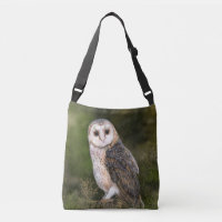 Westerne Barn Owl - Gigned Waterverf Painting