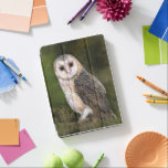 Westerne Barn Owl iPad Air Cover<br><div class="desc">Western Barn Owl - Migned Watercolor Painting Art Beautiful Forest Bird</div>
