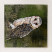 Westerne Barn Owl - Migned Waterverf Painting Art Legpuzzel (Horizontaal)