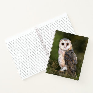 Westerne Barn Owl - Migned Waterverf Painting Art  Notitieboek