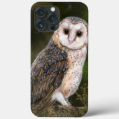 Westerne Barn Owl - Schilderen  Case-Mate iPhone Case (Achterkant)