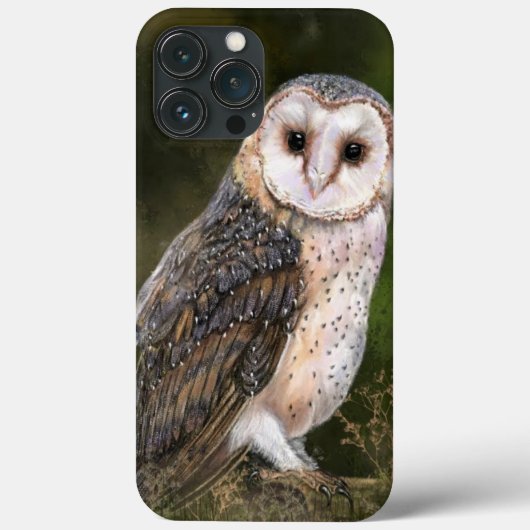 Westerne Barn Owl - Schilderen  Case-Mate iPhone Case (Achterkant)