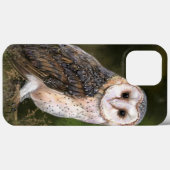 Westerne Barn Owl - Schilderen  Case-Mate iPhone Case (Achterkant (horizontaal))