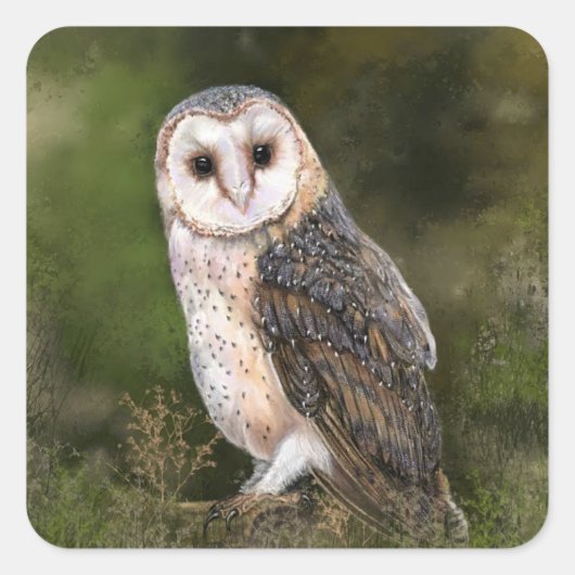 Westerne Barn Owl Sticker (Voorkant)