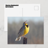 Westerne beemdgroeve in North Dakota Briefkaart (Voorkant / Achterkant)