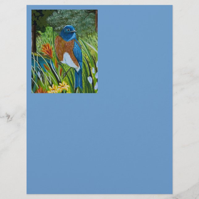 Westerne blauwvogel (Voorkant)