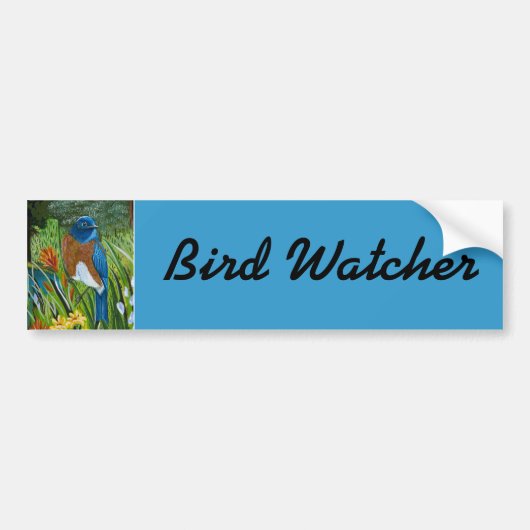 Westerne blauwvogel bumpersticker (Voorkant)
