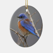 Westerne blauwvogel keramisch ornament (Rechts)