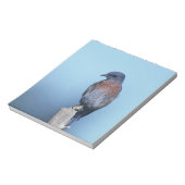Westerne blauwvogel notitieblok (Linkerzijde)