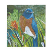 Westerne blauwvogel notitieblok (Voorkant)
