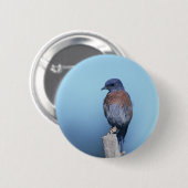 Westerne blauwvogel ronde button 5,7 cm (Voorkant /achterkant)