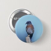 Westerne blauwvogel ronde button 5,7 cm (Voorkant /achterkant)