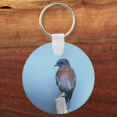 Westerne blauwvogel sleutelhanger (Voorkant)