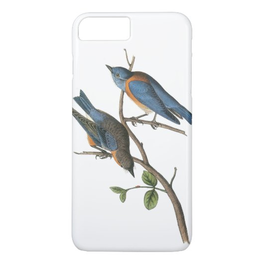 Westerne blauwvogel van Audubon Case-Mate iPhone Case (Achterkant)