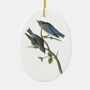 Westerne blauwvogel van Audubon Keramisch Ornament