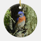Westerne blauwvogel, wilde dieren, ornament (Achterkant)