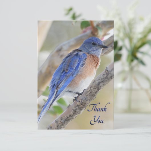 Westerne Bluebird Hartelijk dank Bedankkaart (Staand voorkant)