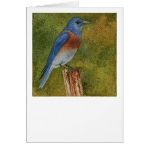 Westerne Bluebird Kaart