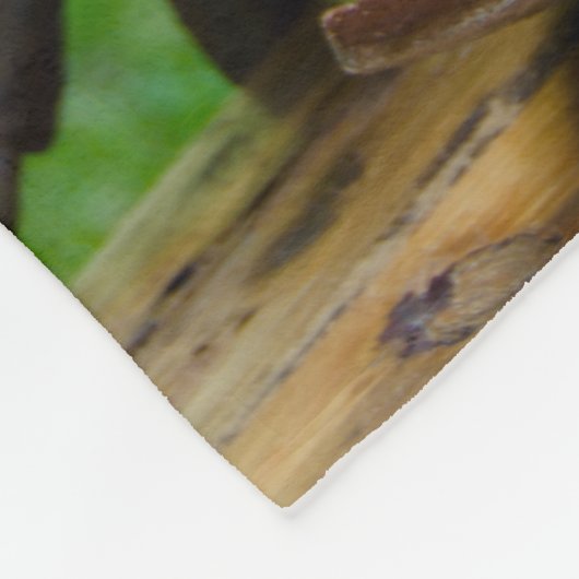 Westerne bruiloft met bijtende zonnebloemen en cow fleece deken (Hoek)