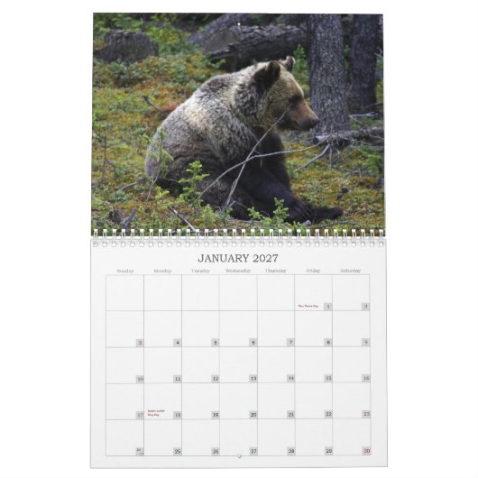 Westerne Canadese Grizzly-Beren Kalender (Jan 2027)