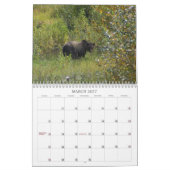 Westerne Canadese Grizzly-Beren Kalender (Mar 2027)