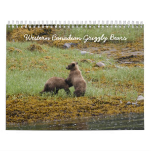 Westerne Canadese Grizzly-Beren Kalender